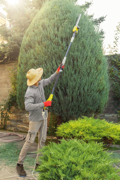 Palos Heights, IL Tree Removal and Landscaping Services Company